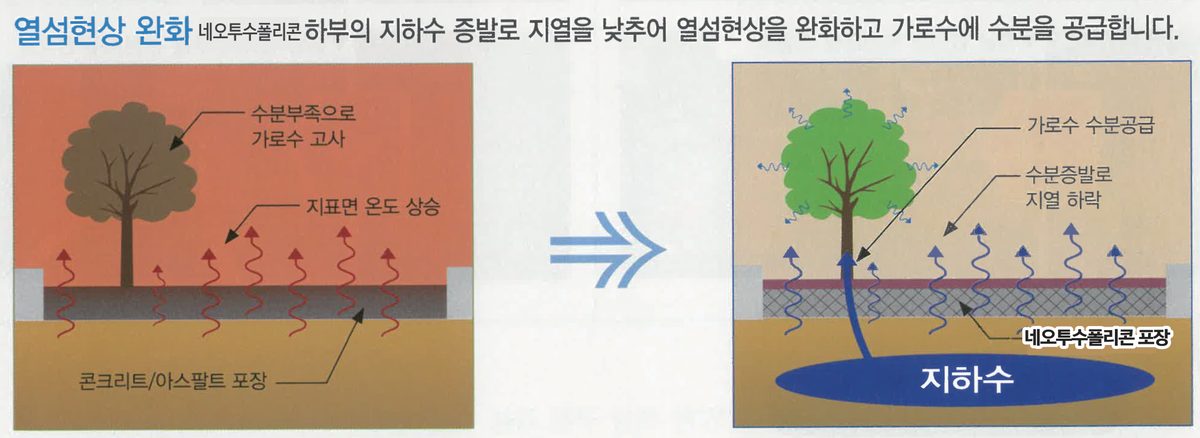 지하수 증발로 지표 온도가 낮아지고 가로수에 수분이 공급되는 도해